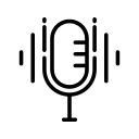 voice search icon